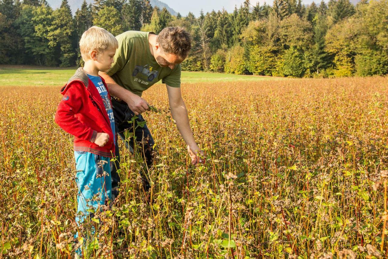 Glamping Organic Farm Slibar Villa Tržič Eksteriør bilde